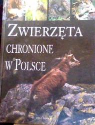 Zwierzęta chronione w Polsce