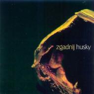 Zgadnij