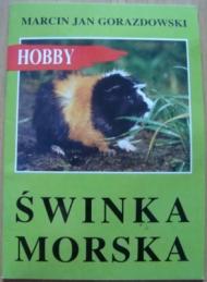 Świnka morska
